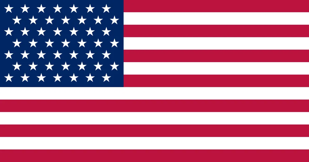 파일:미국 국기(49성).png
