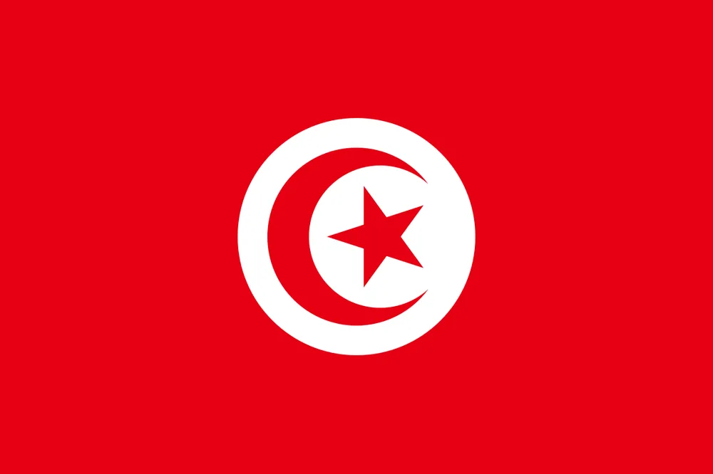 파일:튀니지 국기.png