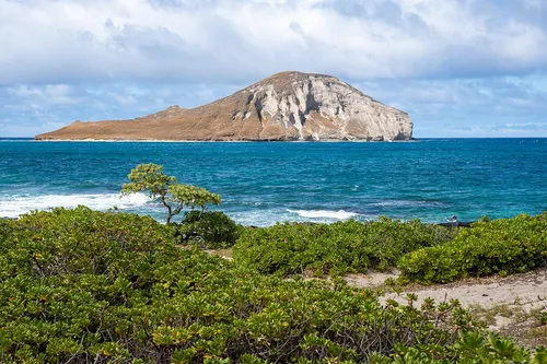 파일:Mānana_island_(53312899206).jpg