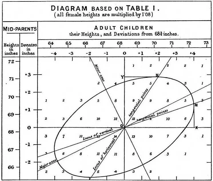 파일:external/euclid.psych.yorku.ca/galton-corr.jpg