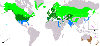 파일:청둥오리 분포.png