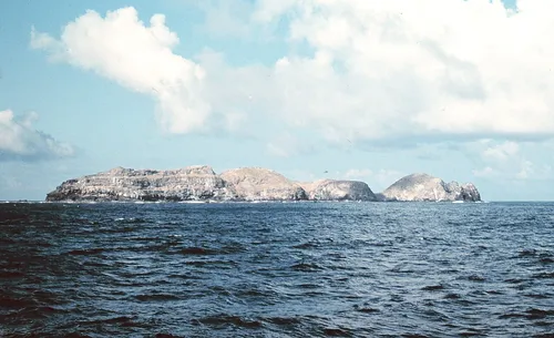 파일:Necker_Island_1969.jpg
