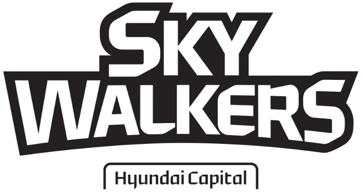 파일:external/s20.postimg.org/skywalkers_3.png