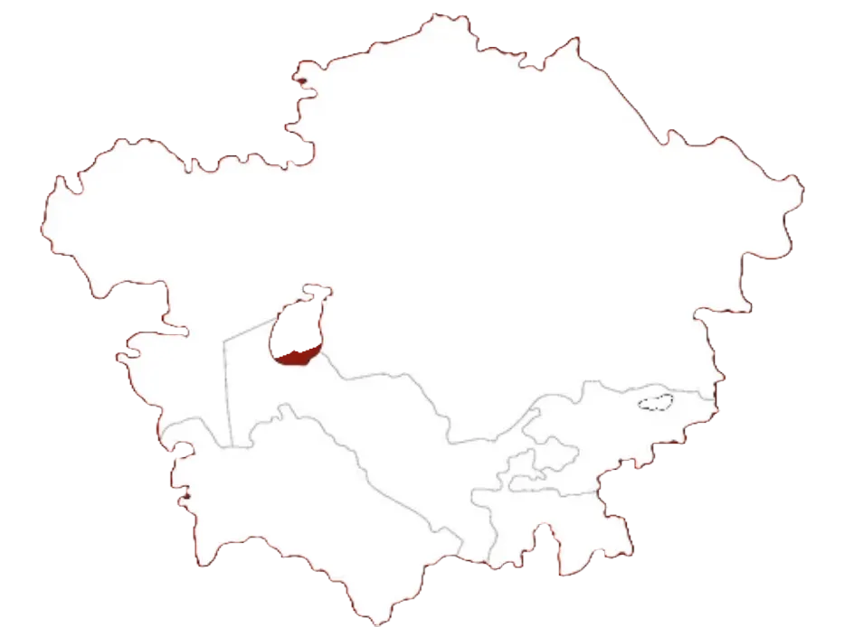 파일:중앙아시아 아이콘.png