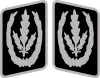 파일:external/upload.wikimedia.org/100px-Reichsf%C3%BChrer-SS_Collar_Rank.svg.png