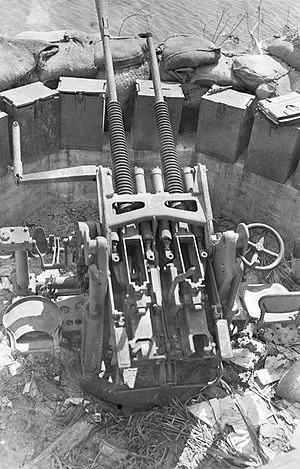파일:attachment/일본군/무기체계/300px-Japanese_25mm_dual_mount_anti-aircraft_gun_-_Guam.jpg