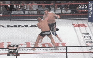 파일:attachment/표도르 예멜리아넨코/9c.gif