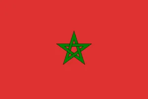 파일:모로코 국기.png