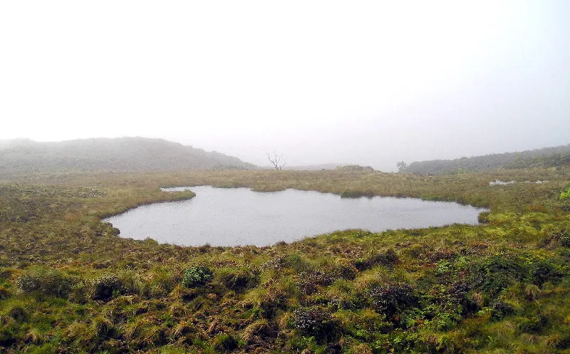 파일:Whylake.jpg