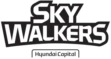 파일:external/s20.postimg.org/skywalkers_3.png