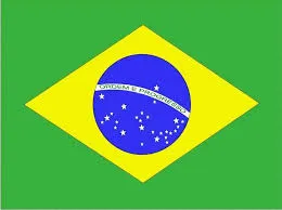 파일:브라질 국기.jpg