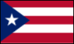 파일:2013 WBC 푸에르토리코 기.png