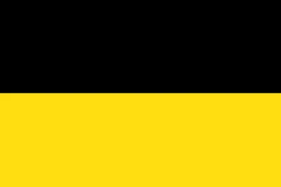파일:오스트리아 제국 국기.png