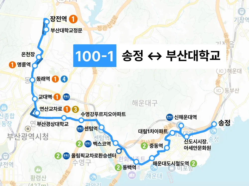 파일:부산 100-1 노선도(2).png