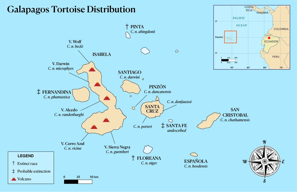파일:Galápagos_tortoise_distribution_map.svg.png