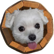 파일:뽁구 프로필.jpg