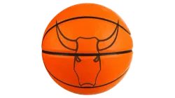 파일:워싱턴 위저즈 로고(1962).webp