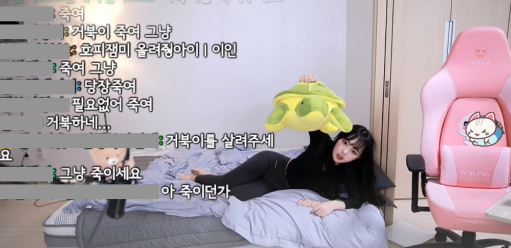 파일:잼미 거북이 모자이크.png