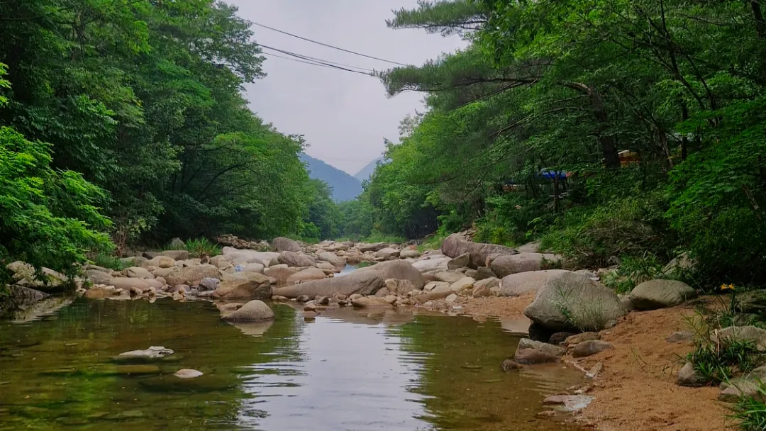 파일:019e21fa-134c-7455-8644-ead781e70418.png