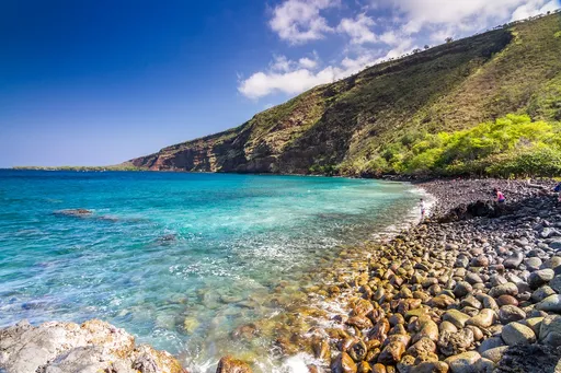 파일:Kealakekua_Bay_in_the_morning.jpg
