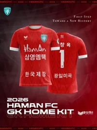 파일:함안FC_2026_GK홈킷.jpg