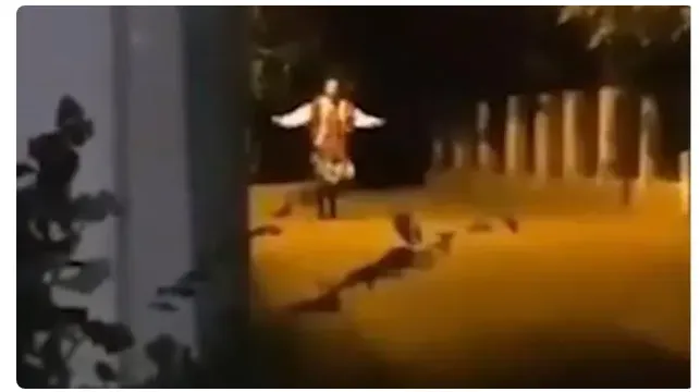 파일:serbian dancing lady.png