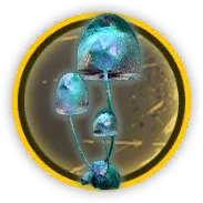 파일:보기 좋은 버섯.png