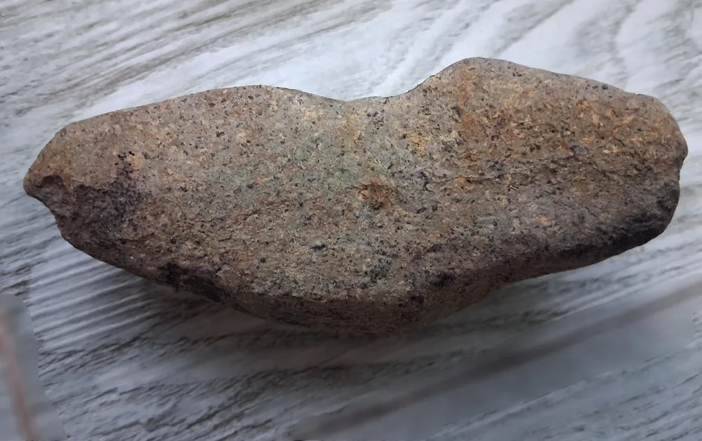 파일:녹색 이암.jpg