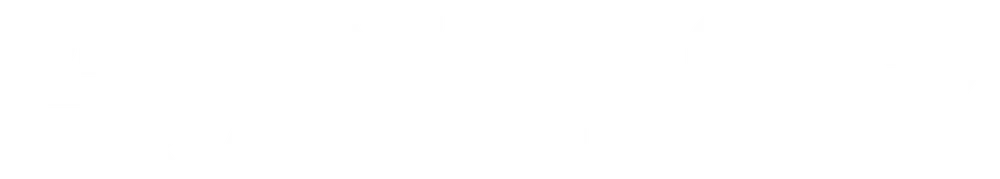 파일:한버시로고1.png