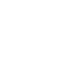 파일:GF_PNC_Сварог Logo.png