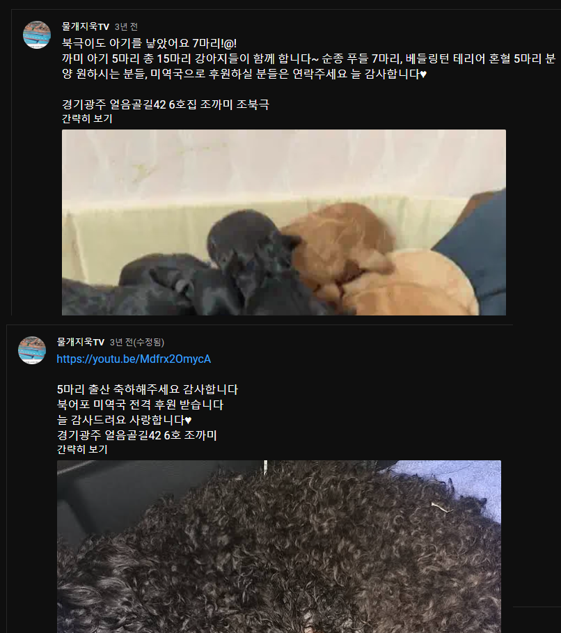 파일:조지욱 곤지암 주소.png