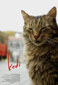 파일:external/upload.wikimedia.org/220px-Kedi-film-poster.jpg