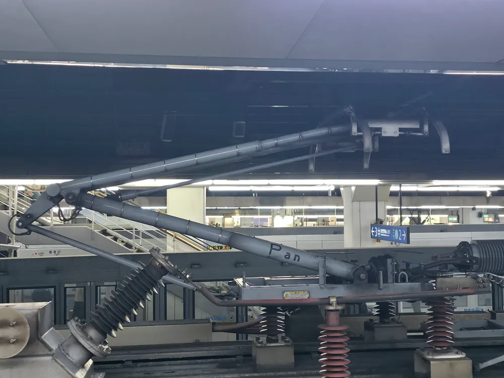 파일:청춘 싱글암 팬토.jpg