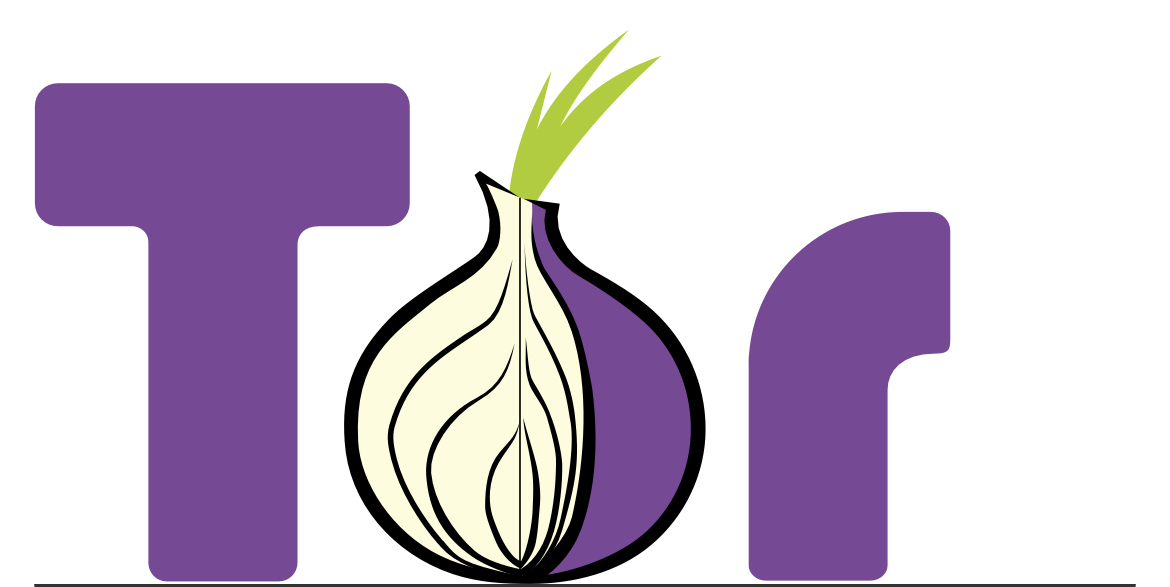 파일:Tor_logo.jpg