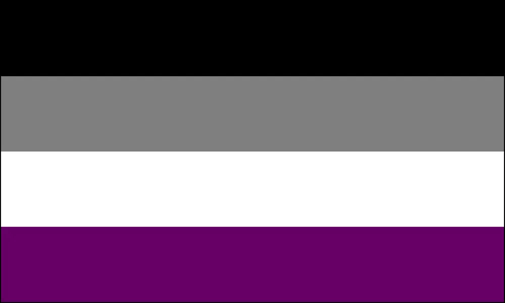 파일:external/www.asexualityarchive.com/AceFlag.png