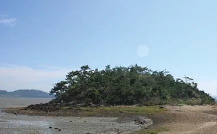 파일:소죽도.jpg