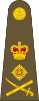 파일:external/upload.wikimedia.org/80px-British_Army_OF-9.svg.png