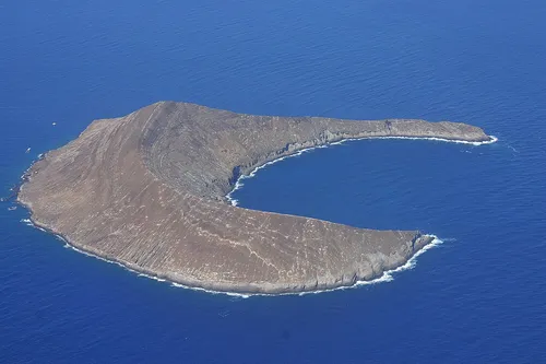 파일:Lehua_2.jpg