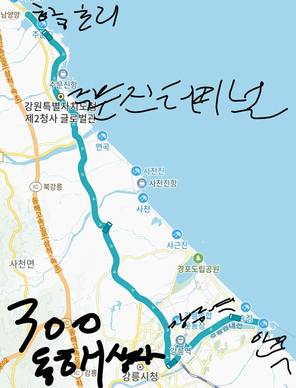 파일:300번노선도동해.jpg